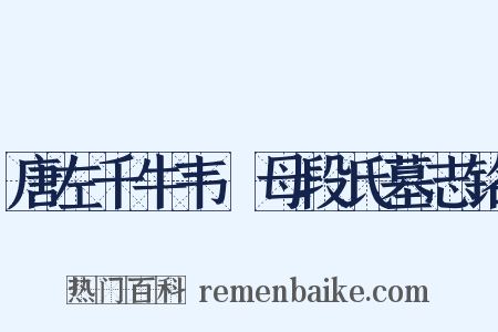 唐左千牛韦珮母段氏墓志铭是什么意思的图片